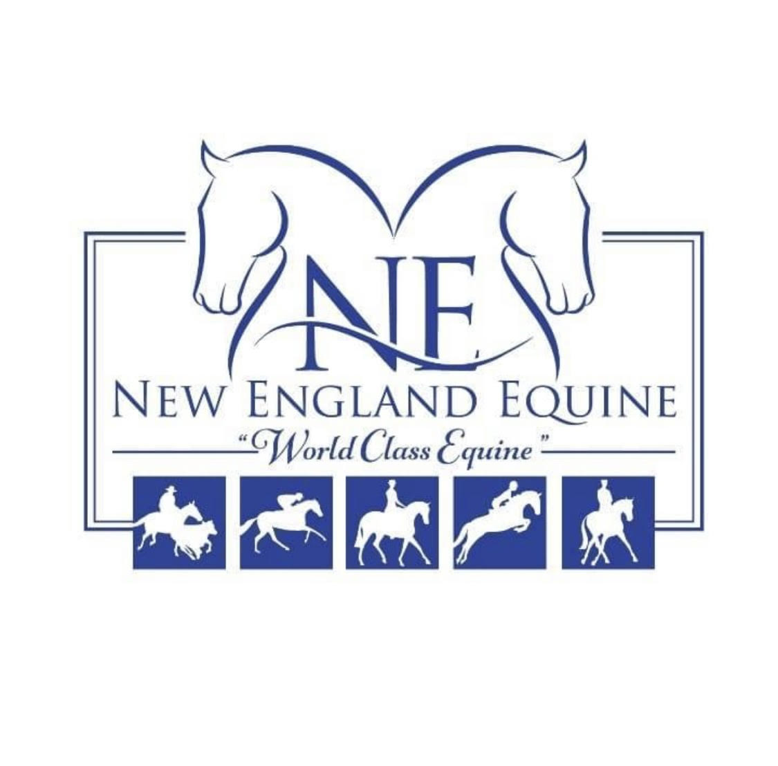 New England Equine - Event Galleries - www.amysuealston.com.au