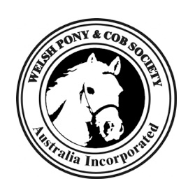 Northern NSW Youngstock & Foal Show 2024