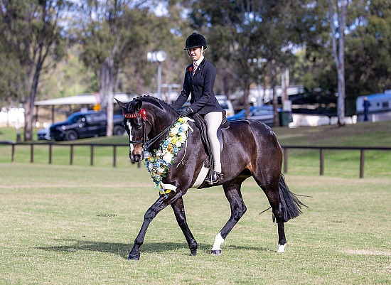 ENSW Junior Championships 2026